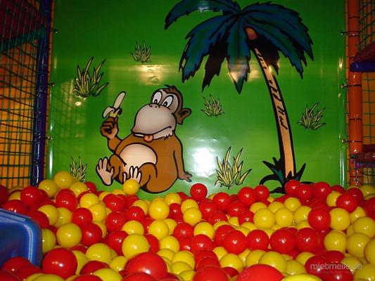 Klettergeräte mieten & vermieten - Dschungel-Spielmobil & Bullenreiten mieten Bullriding leihen in Ense
