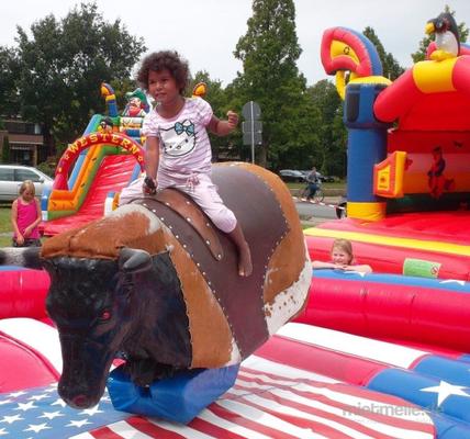 Bullriding mieten & vermieten - Bullriding - Bullenreiten mieten arnsberg, soest, hamm, in Ense