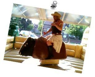 Bullriding mieten & vermieten - Bullriding mieten Aachen NRW Rodeo Stier mieten in Aachen