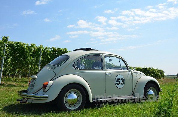 Oldtimer mieten & vermieten - VW Käfer Oldtimer zum selber fahren in Brackenheim
