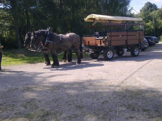 Kutsche mieten & vermieten - Reiten-Fahren in Hagen