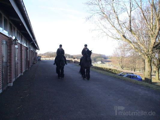 Kutsche mieten & vermieten - Reiten-Fahren in Hagen