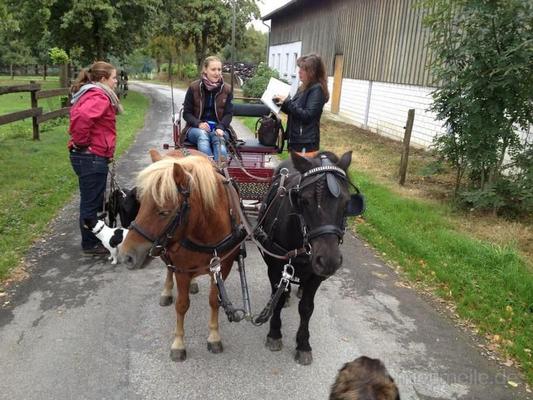 Kutsche mieten & vermieten - Reiten-Fahren in Hagen