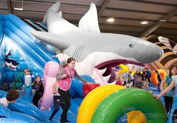 Riesenrutsche mieten & vermieten - 260 qm Shark Attack - Hairutsche - Active Center in Bramsche