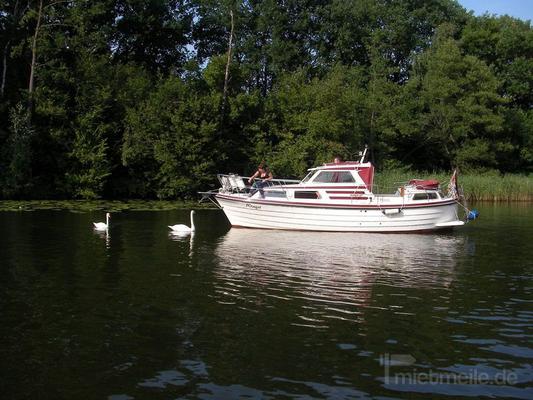 Motoryacht mieten & vermieten - Urlaub auf dem Wasser - auch führerscheinfrei! in Fürstenberg/Havel