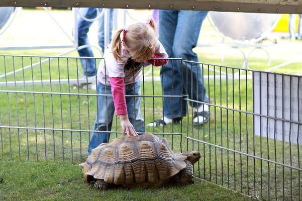 Walkact mieten & vermieten - Rollender Zoo - Reptilienschau in Bramsche