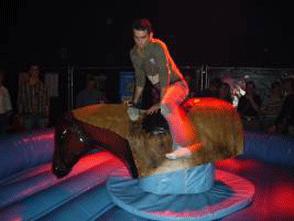 Bullriding mieten & vermieten - bullriding, rodeostier mieten, leihen, verleih in Göppingen