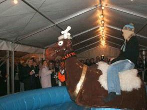 Bullriding mieten & vermieten - rodeostier, bullriding mieten, leihen, verleih in Göppingen