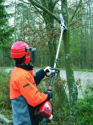 Astsäge mieten & vermieten - Astsäge 30 cm Schwertlänge, bis 4 m Arbeitshöhe, Benzingemisch in Essen