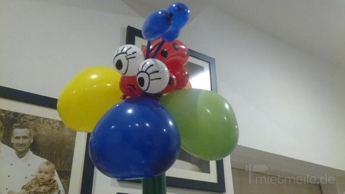 Alleinunterhalter mieten & vermieten - Das Top Firmen Event Paket + Ballonfiguren, Zauberer, Clown, Kindershow, Ballonkünstler, Ballon modellage, Ballonzauberer, Luftballons, Luftballonfiguren, Kinderdisco, Party in Herbertingen