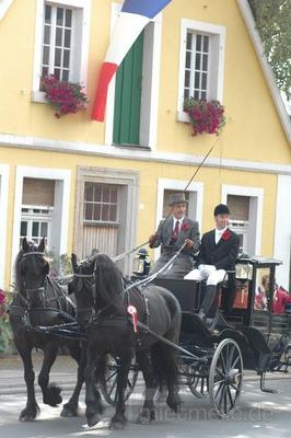 Hochzeitskutsche mieten & vermieten - Hochzeitskutsche auf höchstem Niveau in Emsdetten