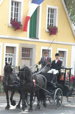 Hochzeitskutsche mieten & vermieten - Hochzeitskutsche auf höchstem Niveau NRW u. Niedersachsen Neu jetzt auch Oldtimer als Cabrio in Emsdetten