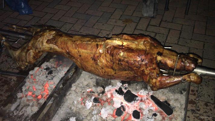Catering mieten & vermieten - Spanferkel Wildschwein Lamm Truthahn Ente Gans frisch gegrillt in Leipzig