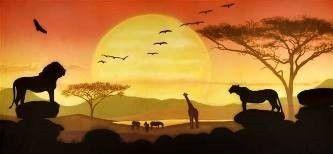 Kulissen mieten & vermieten - Sonnenuntergang in der Savanne Kulisse, Kulisse, Savanne, Sonne, Sonnenuntergang, Afrika, afrikanisch, Tiere, Wildtiere in Kamp-Bornhofen