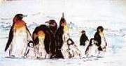 Kulissen mieten & vermieten - Pinguine Kulisse, Kulisse, Pinguin, Schwimmvogel. Tauchvogel, Eis, Wasser, Pol, Polar, Schnee, Nordpol, Eiswelt in Kamp-Bornhofen