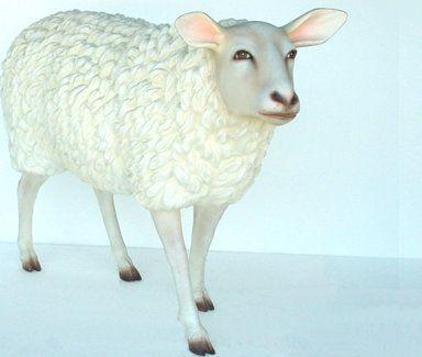 Dekofiguren mieten & vermieten - Schaf Figur, Schaf, Lamm, Figur, Tier, Weide, Schäfchen, Wolle, Hausschaf, Bauer, Bauernhof, Stall, Dekoration, Event in Kamp-Bornhofen