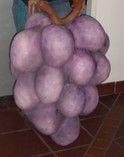 Dekorationsservice mieten & vermieten - Trauben Dolden, Trauben, Weintraube, Weinbau, Weinberg, Traubenlese, Dekoration, Obst, Frucht, Event, Messe in Kamp-Bornhofen