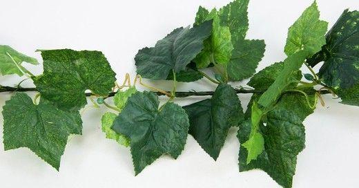 Dekorationsservice mieten & vermieten - Künstliche Wein- und Efeuranken, Wein, Weinranken, Efeuranken, Efeu, Ranken, Ranke, Laub, Blätter, Weinblätter in Kamp-Bornhofen