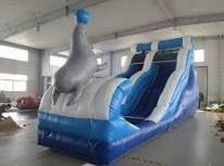 Wasserspiele mieten & vermieten - Wasserrutsche Seelöwe in Alsbach-Hähnlein