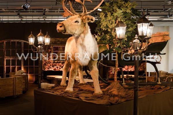 Weihnachtsdekoration mieten & vermieten - Größter dt. Winter & Weihnachtsfundus XXL, WUNDERRÄUME GmbH vermietet: Dekoration / Kulisse für Event, Messe, Veranstaltung, Incentive, Mitarbeiterfest, Firmenjubiläum in Lichtenstein/Sachsen