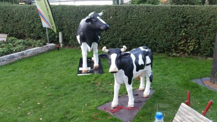 Melkkuh mieten & vermieten - Wettmelken mit den Kühen von Bauer Ewald mieten - Selbstabholer möglich in Bramsche