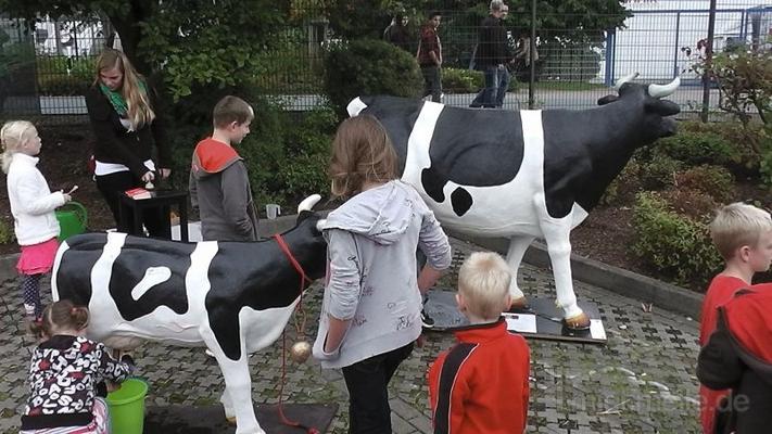 Melkkuh mieten & vermieten - Wettmelken mit den Kühen von Bauer Ewald mieten - Selbstabholer möglich in Bramsche