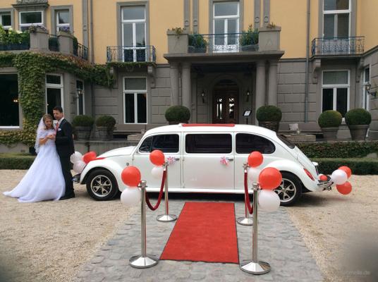Hochzeitsauto mieten & vermieten - Einzigartiger VW Käfer Limousine 1967 in Gangelt