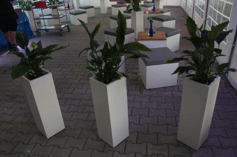 Pflanzen mieten & vermieten - Lounge - Blumensäule / Blumensäule / Blumen / Dekoration in Neumünster