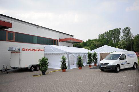 Pflanzen mieten & vermieten - Lounge - Blumensäule / Blumensäule / Blumen / Dekoration in Neumünster