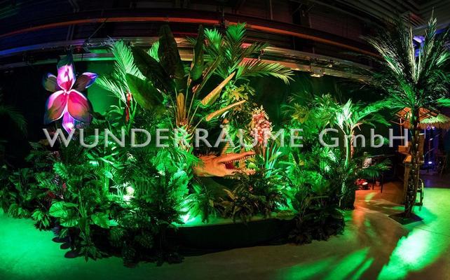 Pflanzen mieten & vermieten - Palme XL - WUNDERRÄUME GmbH vermietet: Dekoration/Kulisse für Event, Messe, Veranstaltung, Incentive, Mitarbeiterfest, Firmenjubiläum in Lichtenstein/Sachsen