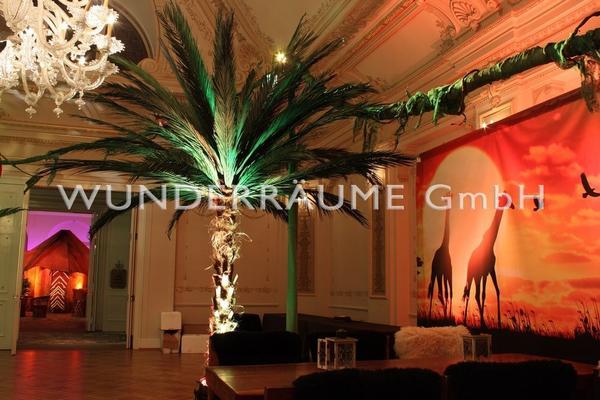 Pflanzen mieten & vermieten - Palme XL in Lichtenstein/Sachsen