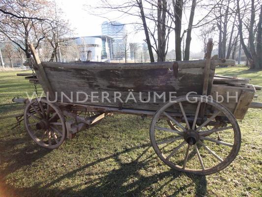 Pflanzen mieten & vermieten - Rustikale Heuwagen - Holzwagen - Leiterwagen u.v.m. WUNDERRÄUME GmbH vermietet: Dekoration / Kulisse für Event, Messe, Veranstaltung, Incentive, Mitarbeiterfest, Firmenjubiläum in Lichtenstein/Sachsen