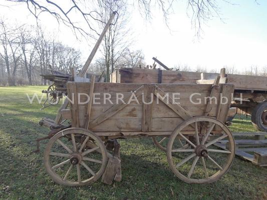 Pflanzen mieten & vermieten - Rustikale Heuwagen - Holzwagen - Leiterwagen u.v.m. WUNDERRÄUME GmbH vermietet: Dekoration / Kulisse für Event, Messe, Veranstaltung, Incentive, Mitarbeiterfest, Firmenjubiläum in Lichtenstein/Sachsen