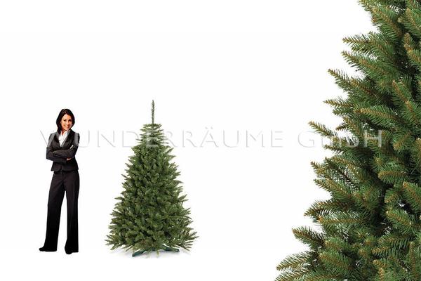 Kulissen mieten & vermieten - Nadelbaum Fichte, M - WUNDERRÄUME GmbH vermietet: Dekoration/Kulisse für Event, Messe, Veranstaltung, Incentive, Mitarbeiterfest, Firmenjubiläum in Lichtenstein/Sachsen