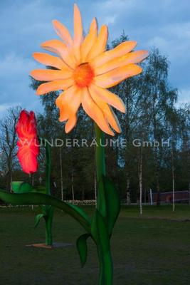 Saisonale Dekoration mieten & vermieten - 4 Riesenblumen bis 4m / SET 2 - WUNDERRÄUME GmbH vermietet: Dekoration/Kulisse für Event, Messe, Veranstaltung, Incentive, Mitarbeiterfest, Firmenjubiläum in Lichtenstein/Sachsen