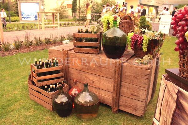 Pflanzen mieten & vermieten - Dekoset "Wein"- WUNDERRÄUME GmbH vermietet: Dekoration/Kulisse für Event, Messe, Veranstaltung, Incentive, Mitarbeiterfest, Firmenjubiläum in Lichtenstein/Sachsen