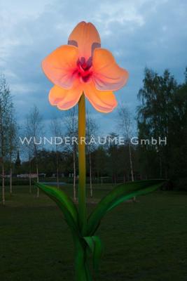 Saisonale Dekoration mieten & vermieten - 3 Riesenblumen bis 4m / SET 3 - WUNDERRÄUME GmbH vermietet: Dekoration/Kulisse für Event, Messe, Veranstaltung, Incentive, Mitarbeiterfest, Firmenjubiläum in Lichtenstein/Sachsen