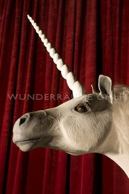 Dekofiguren mieten & vermieten - Weißes Einhorn - Pferd - lebensgroß WUNDERRÄUME GmbH vermietet: Dekoration / Kulisse für Event, Messe, Veranstaltung, Incentive, Mitarbeiterfest, Firmenjubiläum in Lichtenstein/Sachsen