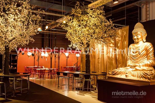 Pflanzen mieten & vermieten - Kirschblüten-Baum L, weiß - WUNDERRÄUME GmbH vermietet: Dekoration/Kulisse für Event, Messe, Veranstaltung, Incentive, Mitarbeiterfest, Firmenjubiläum in Lichtenstein/Sachsen