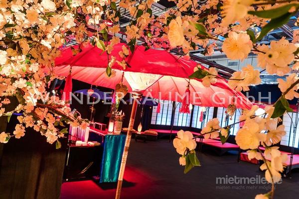 Pflanzen mieten & vermieten - Kirschblüten-Baum L, weiß - WUNDERRÄUME GmbH vermietet: Dekoration/Kulisse für Event, Messe, Veranstaltung, Incentive, Mitarbeiterfest, Firmenjubiläum in Lichtenstein/Sachsen