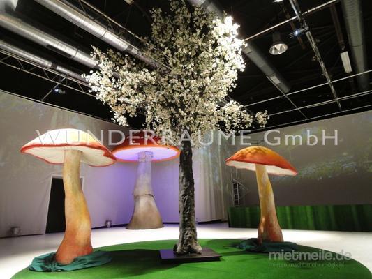 Pflanzen mieten & vermieten - Kirschblüten-Baum L, weiß - WUNDERRÄUME GmbH vermietet: Dekoration/Kulisse für Event, Messe, Veranstaltung, Incentive, Mitarbeiterfest, Firmenjubiläum in Lichtenstein/Sachsen