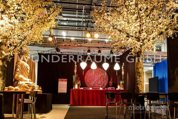 Pflanzen mieten & vermieten - Kirschblüten-Baum L, weiß - WUNDERRÄUME GmbH vermietet: Dekoration/Kulisse für Event, Messe, Veranstaltung, Incentive, Mitarbeiterfest, Firmenjubiläum in Lichtenstein/Sachsen