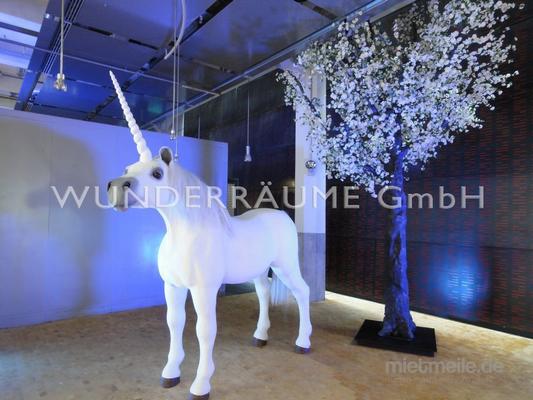 Pflanzen mieten & vermieten - Kirschblüten-Baum L, weiß - WUNDERRÄUME GmbH vermietet: Dekoration/Kulisse für Event, Messe, Veranstaltung, Incentive, Mitarbeiterfest, Firmenjubiläum in Lichtenstein/Sachsen