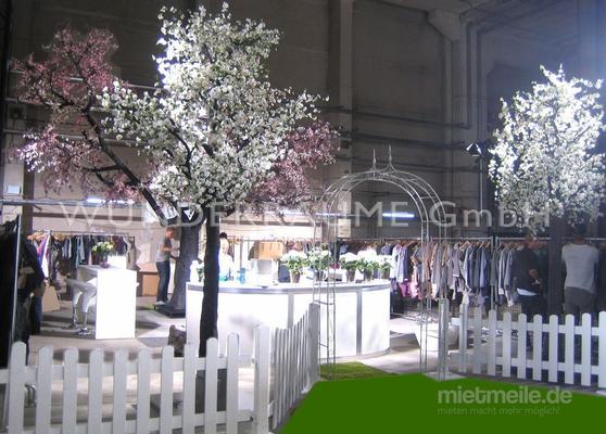 Pflanzen mieten & vermieten - Kirschblüten-Baum M, weiß - WUNDERRÄUME GmbH vermietet: Dekoration/Kulisse für Event, Messe, Veranstaltung, Incentive, Mitarbeiterfest, Firmenjubiläum in Lichtenstein/Sachsen