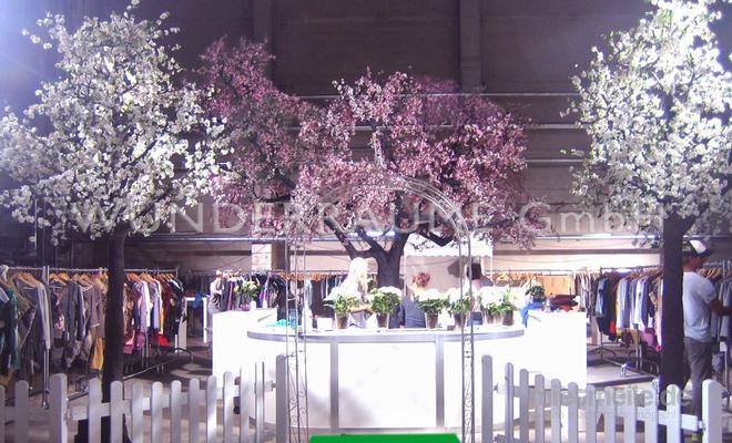 Pflanzen mieten & vermieten - Kirschblüten-Baum M, weiß - WUNDERRÄUME GmbH vermietet: Dekoration/Kulisse für Event, Messe, Veranstaltung, Incentive, Mitarbeiterfest, Firmenjubiläum in Lichtenstein/Sachsen