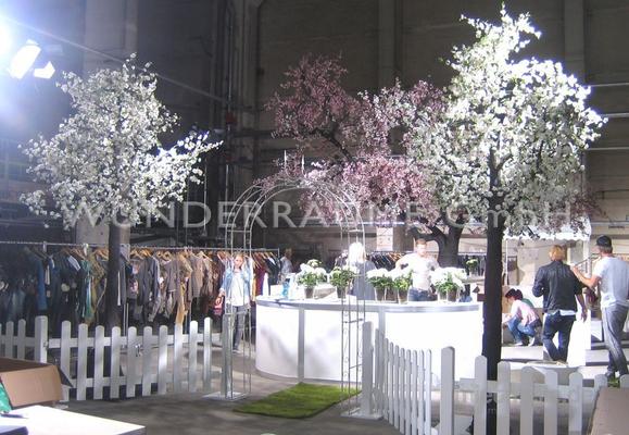 Pflanzen mieten & vermieten - Kirschblüten-Baum M, weiß - WUNDERRÄUME GmbH vermietet: Dekoration/Kulisse für Event, Messe, Veranstaltung, Incentive, Mitarbeiterfest, Firmenjubiläum in Lichtenstein/Sachsen