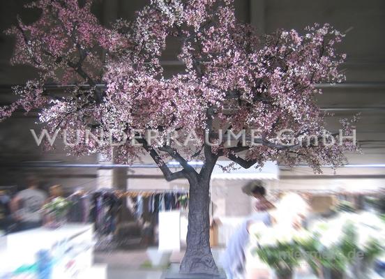 Saisonale Dekoration mieten & vermieten - Kirschblüten-Baum XL, rosa - WUNDERRÄUME GmbH vermietet: Dekoration/Kulisse für Event, Messe, Veranstaltung, Incentive, Mitarbeiterfest, Firmenjubiläum in Lichtenstein/Sachsen