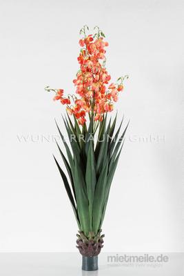 Blumengestecke mieten & vermieten - tropische Kunstpflanze L - WUNDERRÄUME GmbH vermietet: Dekoration/Kulisse für Event, Messe, Veranstaltung, Incentive, Mitarbeiterfest, Firmenjubiläum in Lichtenstein/Sachsen