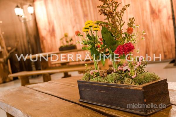 Pflanzen mieten & vermieten - Tischdekoration "Blümchenwiese" - WUNDERRÄUME GmbH vermietet: Dekoration/Kulisse für Event, Messe, Veranstaltung, Incentive, Mitarbeiterfest, Firmenjubiläum in Lichtenstein/Sachsen