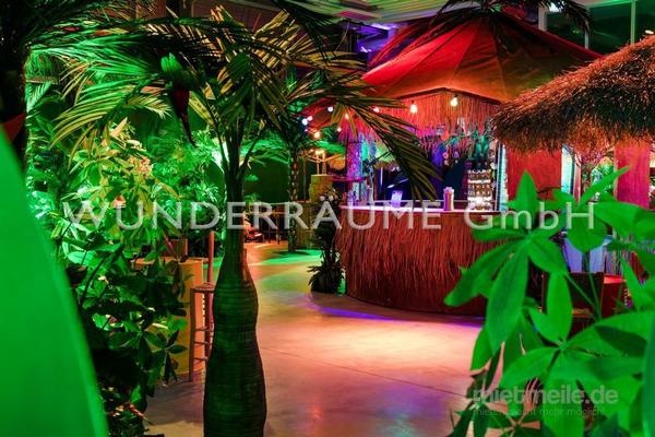 Pflanzen mieten & vermieten - Palme L - WUNDERRÄUME GmbH vermietet: Dekoration/Kulisse für Event, Messe, Veranstaltung, Incentive, Mitarbeiterfest, Firmenjubiläum in Lichtenstein/Sachsen